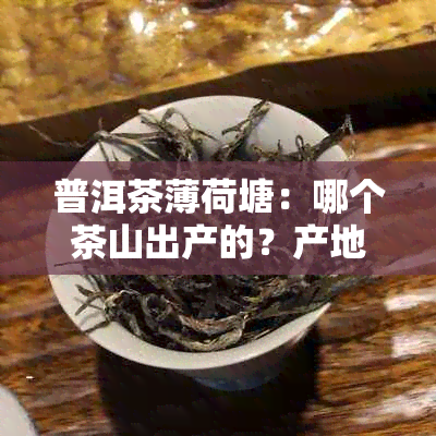 普洱茶薄荷塘：哪个茶山出产的？产地及特色介绍一应俱全！