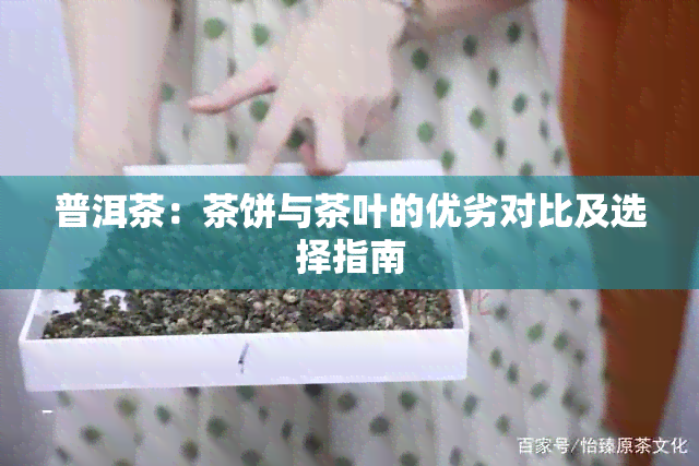 普洱茶：茶饼与茶叶的优劣对比及选择指南