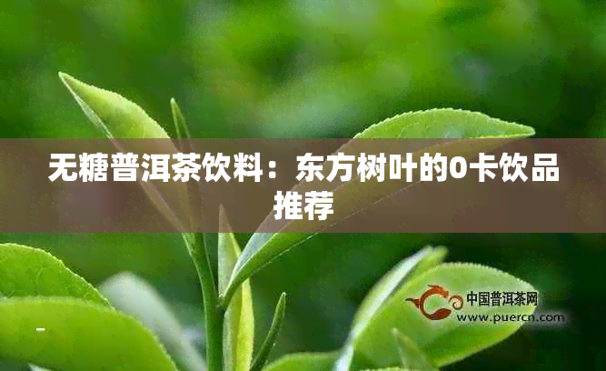 无糖普洱茶饮料：东方树叶的0卡饮品推荐