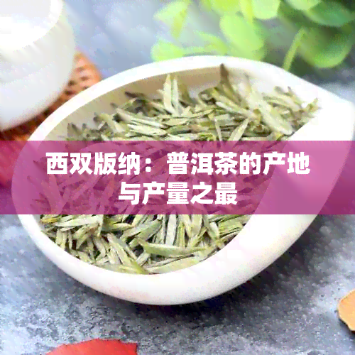 西双版纳：普洱茶的产地与产量之最