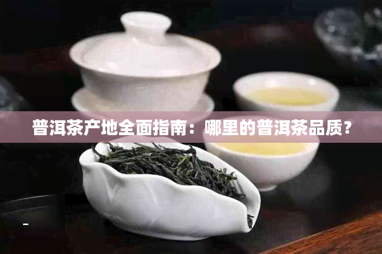 普洱茶产地全面指南：哪里的普洱茶品质？