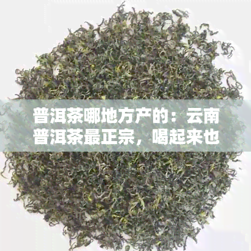 普洱茶哪地方产的：云南普洱茶最正宗，喝起来也！