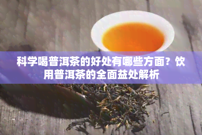 科学喝普洱茶的好处有哪些方面？饮用普洱茶的全面益处解析