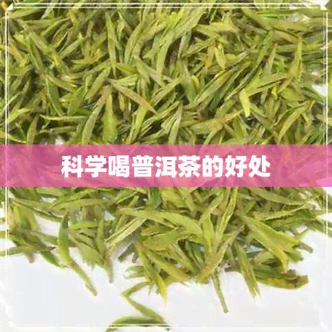 科学喝普洱茶的好处