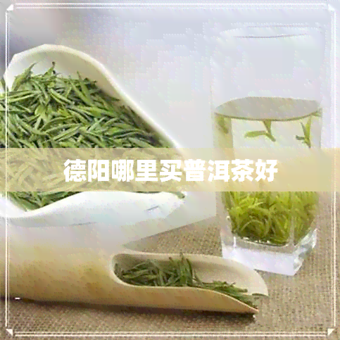 德阳哪里买普洱茶好