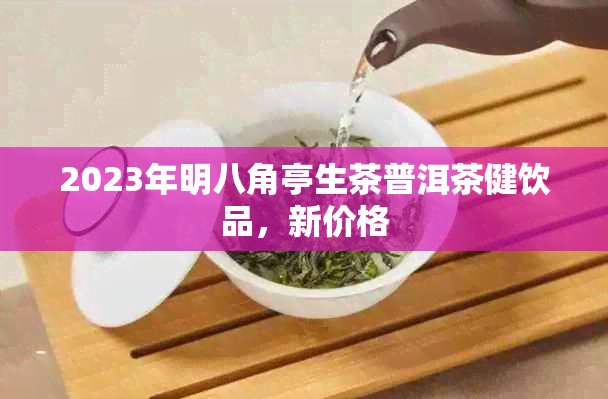 2023年明八角亭生茶普洱茶健饮品，新价格