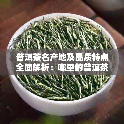 普洱茶名产地及品质特点全面解析：哪里的普洱茶最出名？