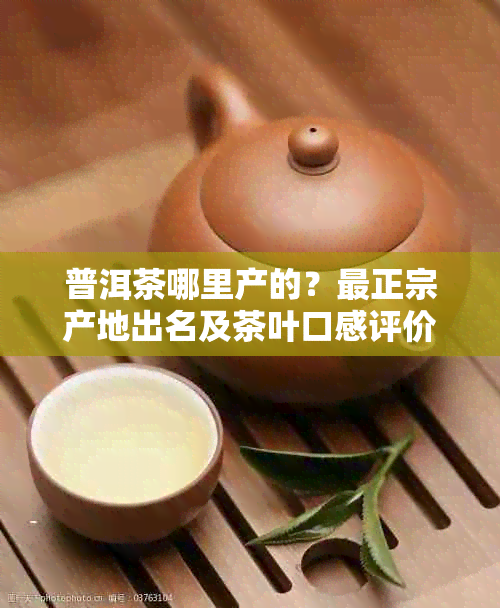 普洱茶哪里产的？最正宗产地出名及茶叶口感评价