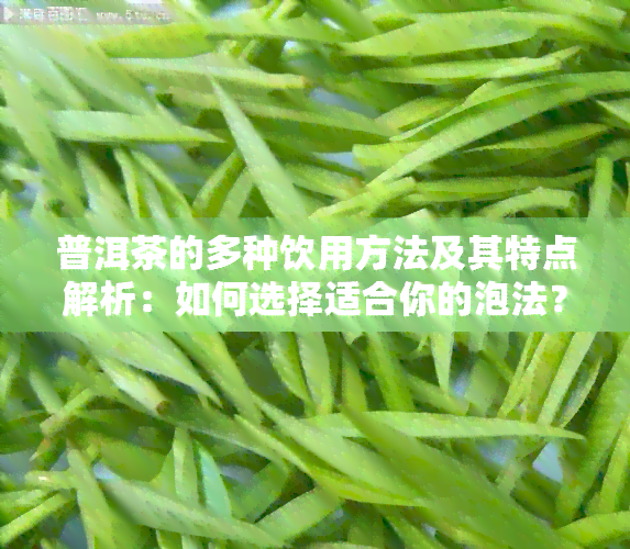 普洱茶的多种饮用方法及其特点解析：如何选择适合你的泡法？