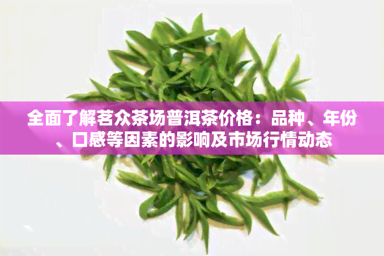 全面了解茗众茶场普洱茶价格：品种、年份、口感等因素的影响及市场行情动态