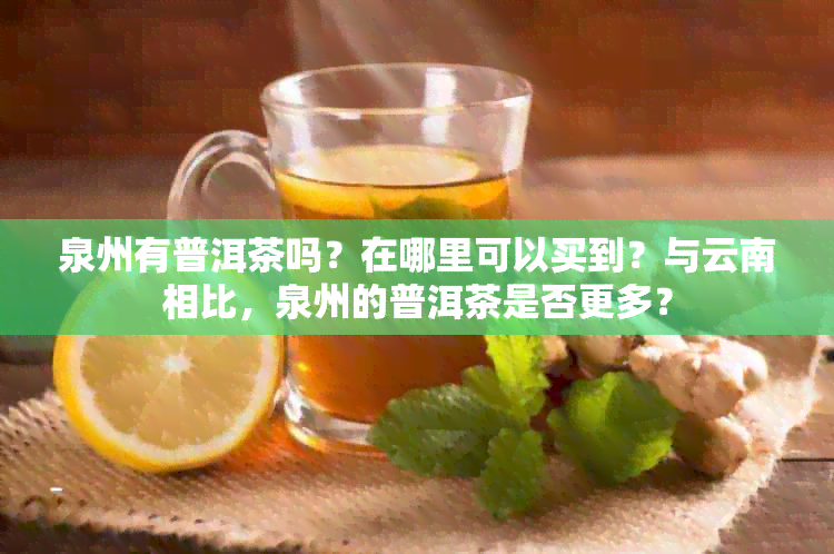 泉州有普洱茶吗？在哪里可以买到？与云南相比，泉州的普洱茶是否更多？