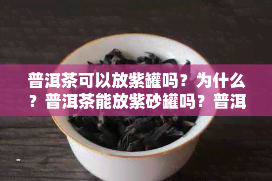 普洱茶可以放紫罐吗？为什么？普洱茶能放紫砂罐吗？普洱茶用紫罐存好吗？