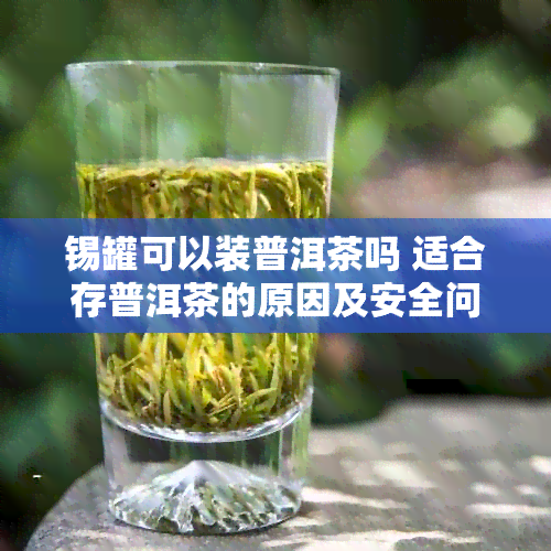 锡罐可以装普洱茶吗 适合存普洱茶的原因及安全问题