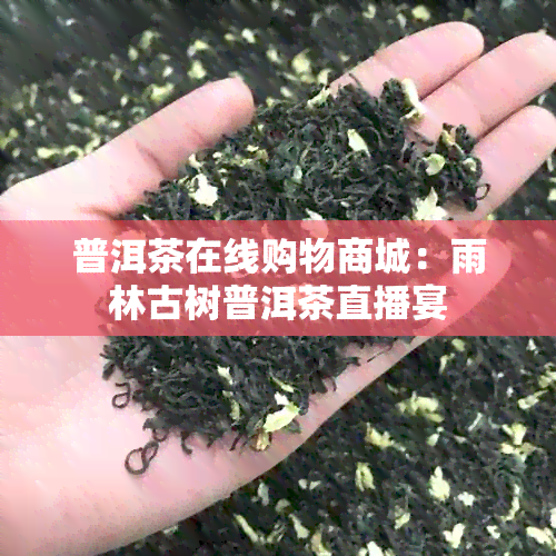 普洱茶在线购物商城：雨林古树普洱茶直播宴