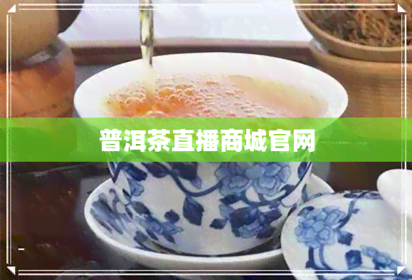 普洱茶直播商城官网