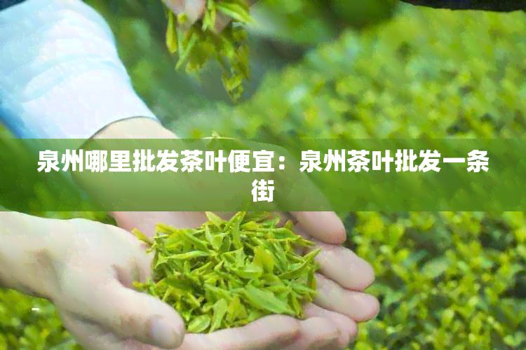 泉州哪里批发茶叶便宜：泉州茶叶批发一条街