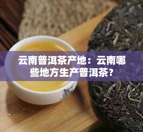 云南普洱茶产地：云南哪些地方生产普洱茶？