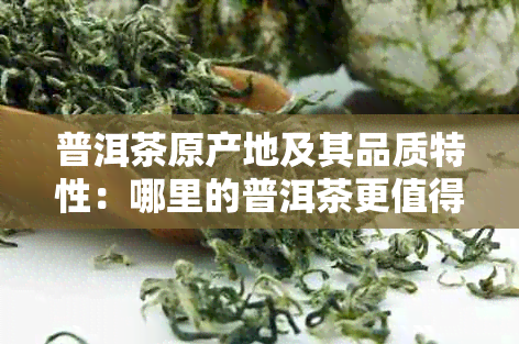 普洱茶原产地及其品质特性：哪里的普洱茶更值得收藏？