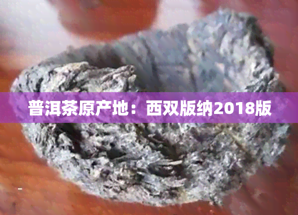 普洱茶原产地：西双版纳2018版