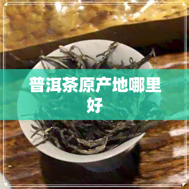 普洱茶原产地哪里好