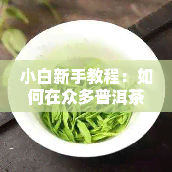 小白新手教程：如何在众多普洱茶中挑选出好喝的一款？