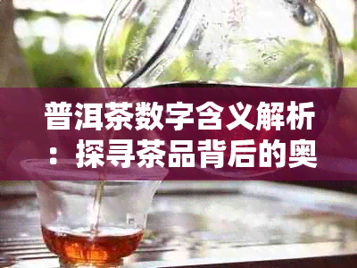 普洱茶数字含义解析：探寻茶品背后的奥秘与价值