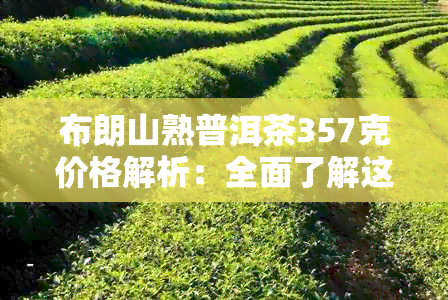 布朗山熟普洱茶357克价格解析：全面了解这款茶叶的性价比