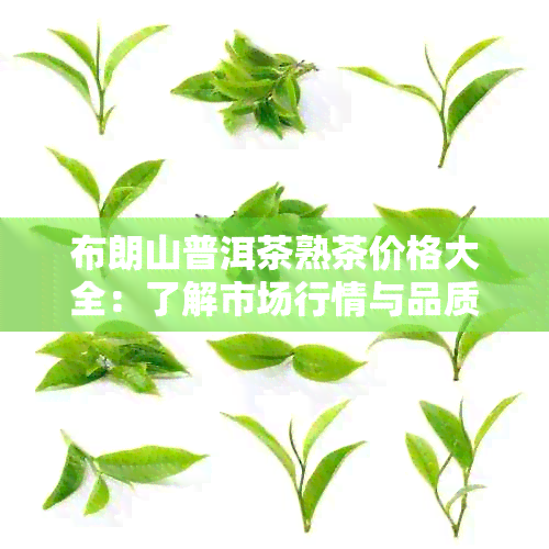 布朗山普洱茶熟茶价格大全：了解市场行情与品质选择的全方位指南