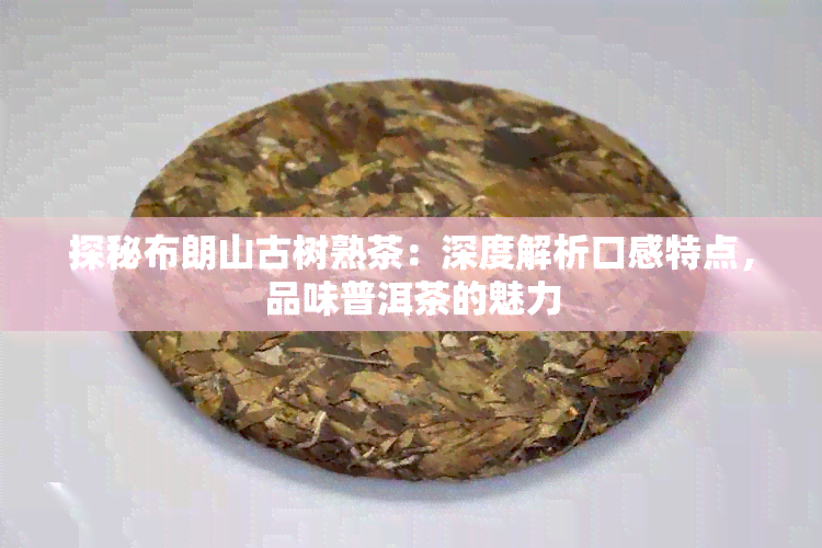 探秘布朗山古树熟茶：深度解析口感特点，品味普洱茶的魅力