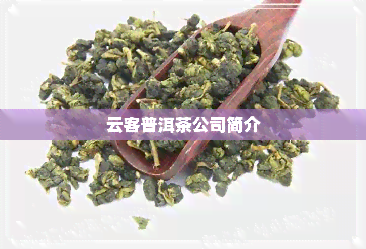 云客普洱茶公司简介