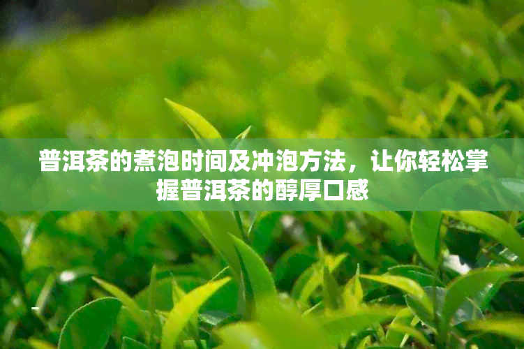 普洱茶的煮泡时间及冲泡方法，让你轻松掌握普洱茶的醇厚口感