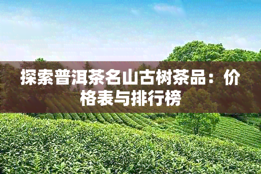 探索普洱茶名山古树茶品：价格表与排行榜