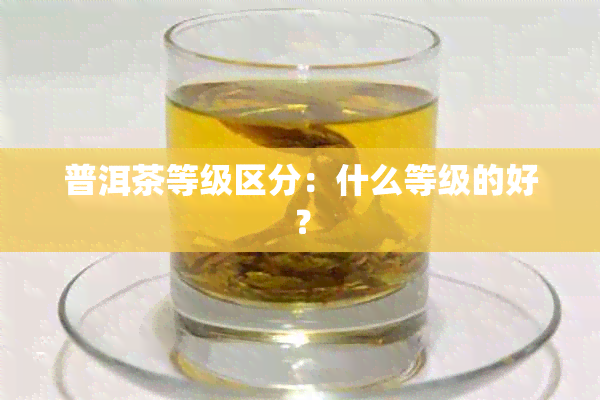 普洱茶等级区分：什么等级的好？