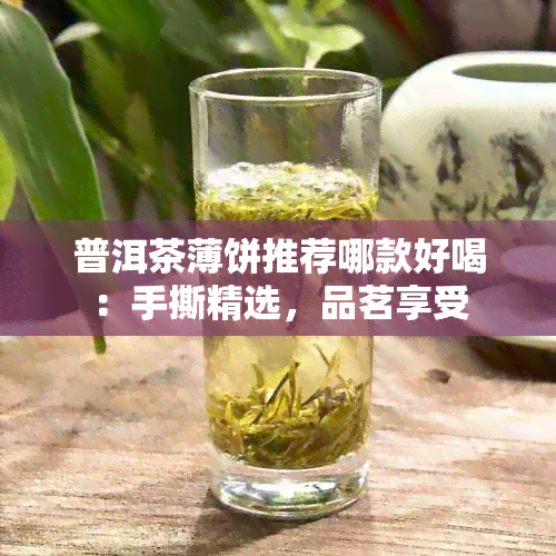 普洱茶薄饼推荐哪款好喝：手撕精选，品茗享受