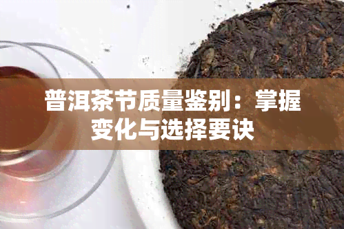 普洱茶节质量鉴别：掌握变化与选择要诀