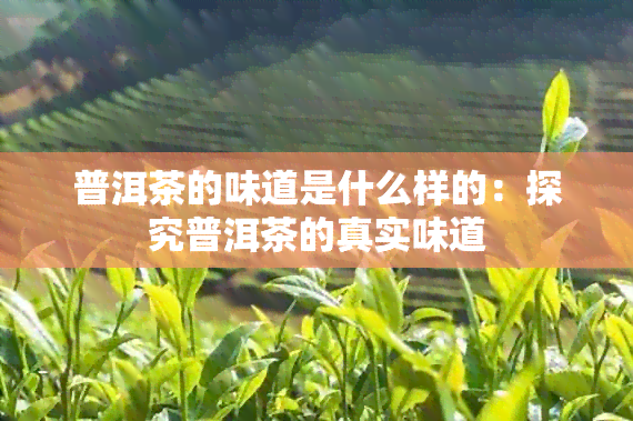 普洱茶的味道是什么样的：探究普洱茶的真实味道