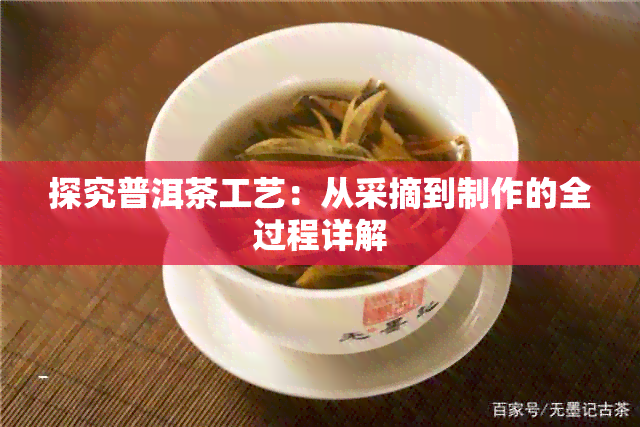 探究普洱茶工艺：从采摘到制作的全过程详解