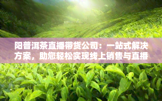 阳普洱茶直播带货公司：一站式解决方案，助您轻松实现线上销售与直播推广