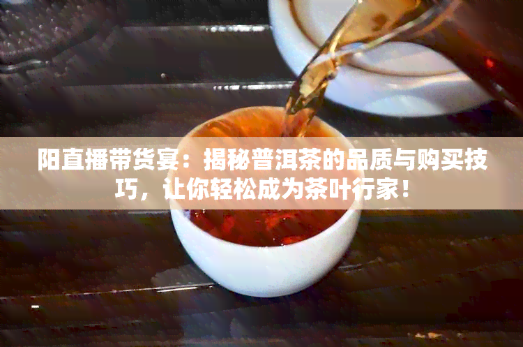 阳直播带货宴：揭秘普洱茶的品质与购买技巧，让你轻松成为茶叶行家！