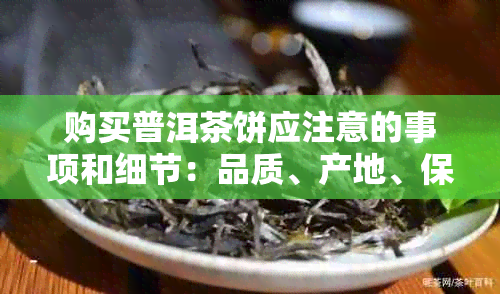 购买普洱茶饼应注意的事项和细节：品质、产地、保存、价格等方面的考虑。