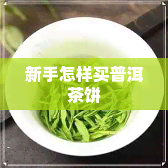 新手怎样买普洱茶饼