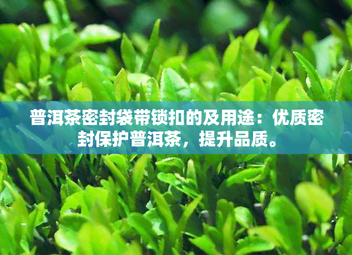 普洱茶密封袋带锁扣的及用途：优质密封保护普洱茶，提升品质。