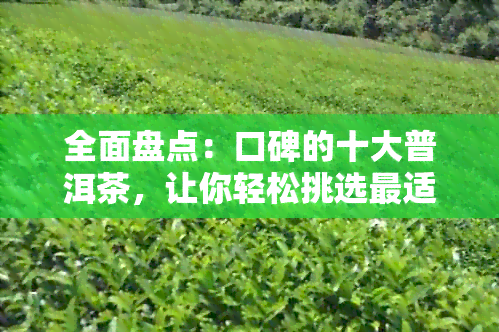 全面盘点：口碑的十大普洱茶，让你轻松挑选最适合的茶品