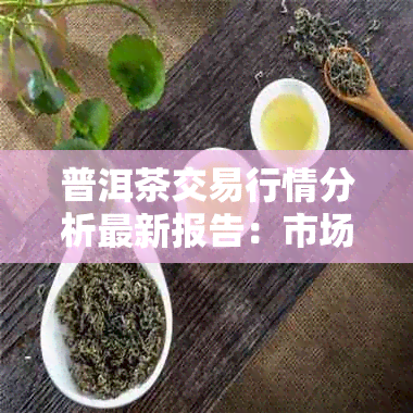 普洱茶交易行情分析最新报告：市场动态与投资趋势解析