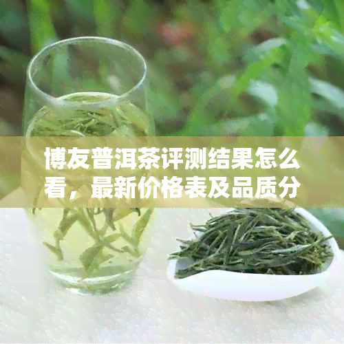 博友普洱茶评测结果怎么看，最新价格表及品质分析