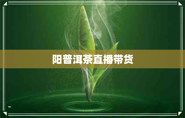 阳普洱茶直播带货