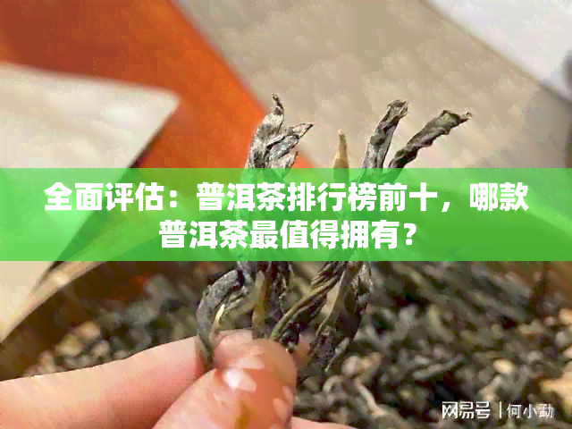 全面评估：普洱茶排行榜前十，哪款普洱茶最值得拥有？