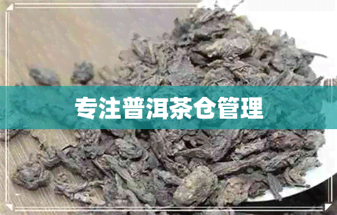 专注普洱茶仓管理