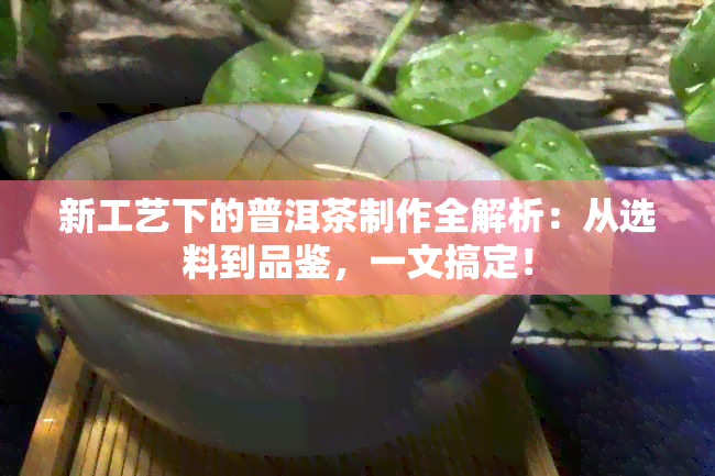 新工艺下的普洱茶制作全解析：从选料到品鉴，一文搞定！