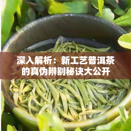 深入解析：新工艺普洱茶的真伪辨别秘诀大公开